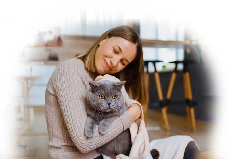 Kattenverzekering
