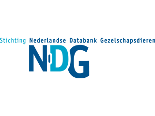 NDG