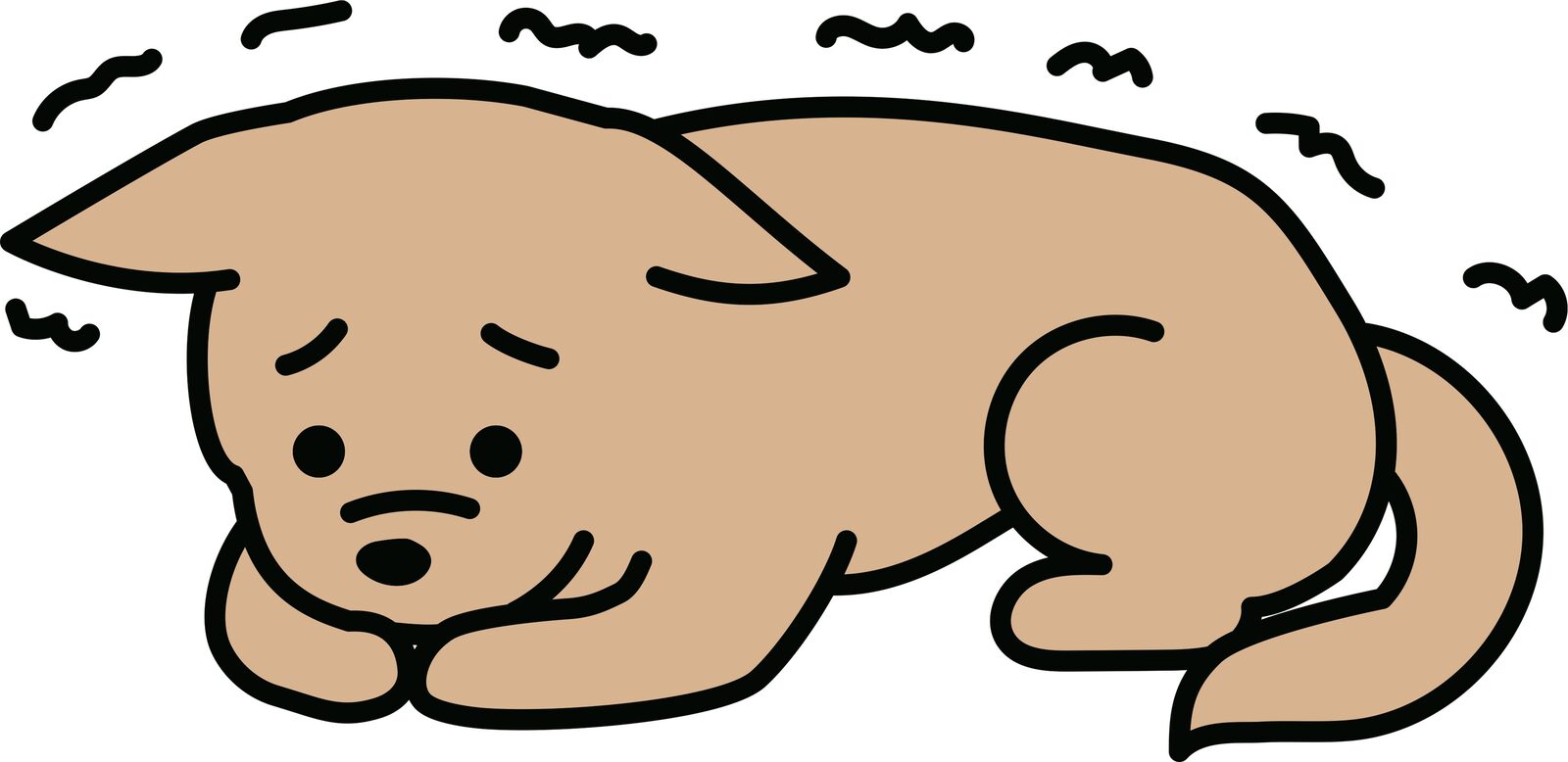Honden en bibberen